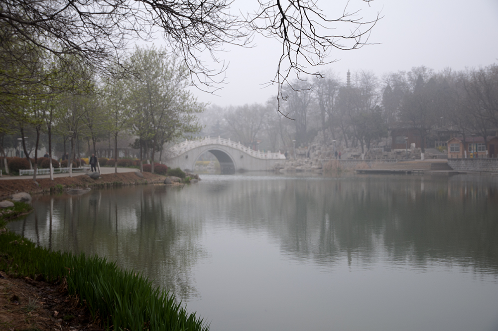 雾中的济宁公园