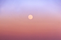 微山湖上升明月