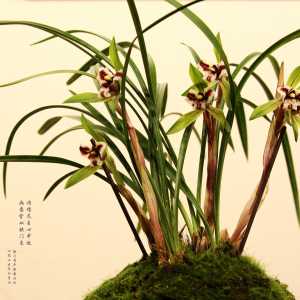 请输入相册名称