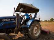 生活的犁耙  放不下的娃