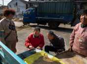 稻路有艰，耕者有光