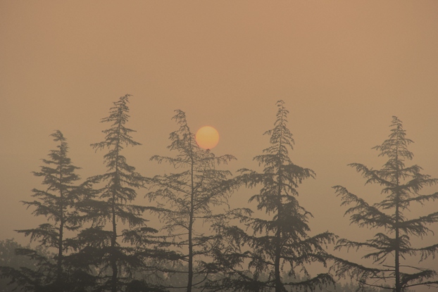 太阳一颗.jpg