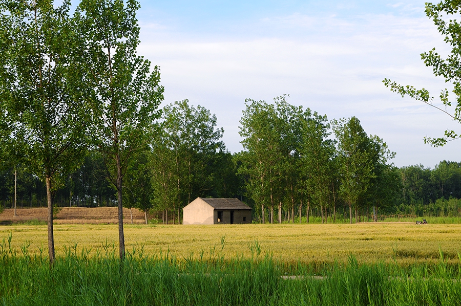 DSC_0881.jpg
