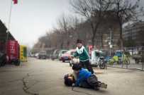 天性的绽放（放假第一天）