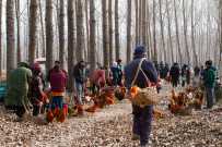 《乡村集市掠影》