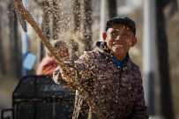 乡村振兴正当时